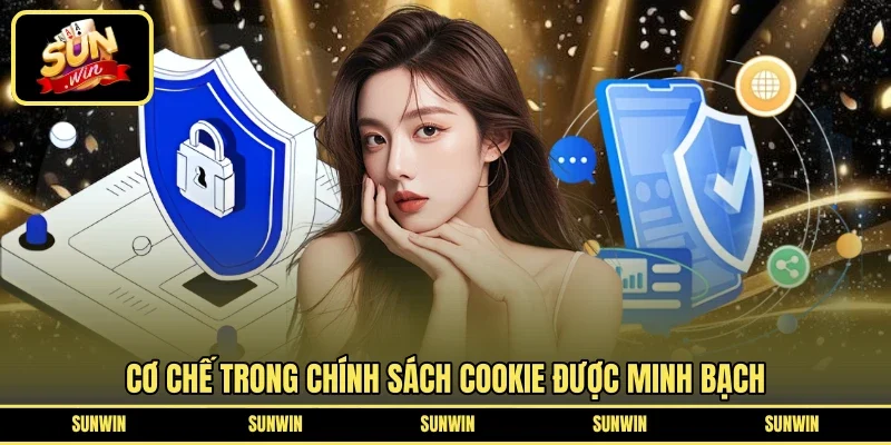 Cơ chế trong chính sách cookie được minh bạch